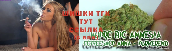 mdma Богородицк