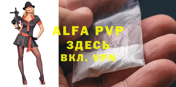 сатива Богданович