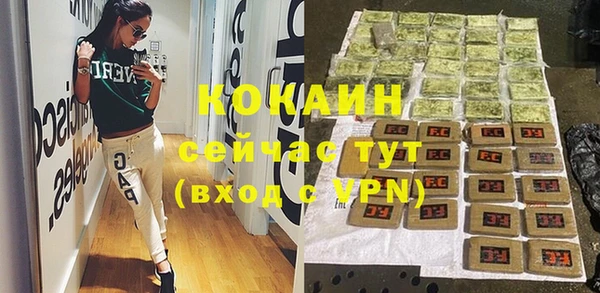 сатива Богданович
