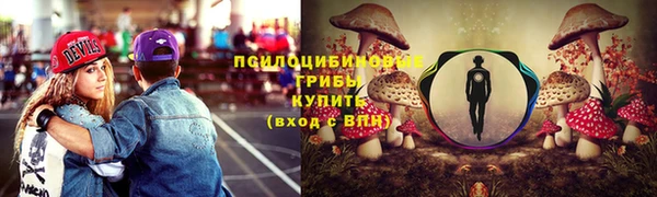 сатива Богданович