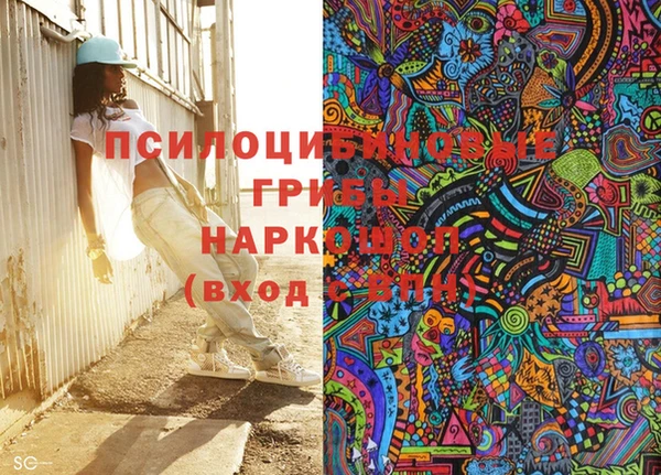 mdma Богородицк
