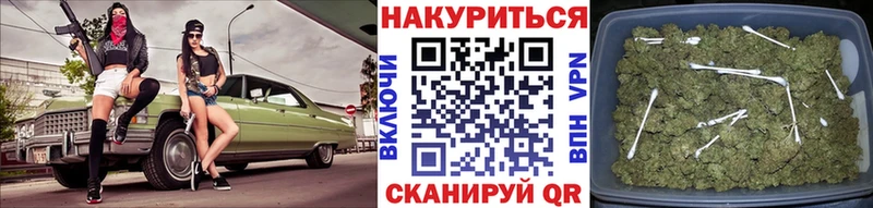Бошки марихуана планчик  Приволжский 